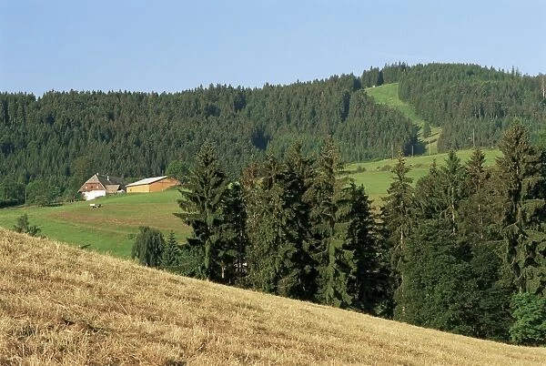 Landscape in the Black Forest (Schwarzwald)