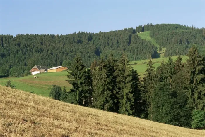 Framed Print : Landscape in the Black Forest (Schwarzwald) Framed Print : Landscape in the Black Forest (Schwarzwald)