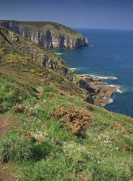 Landscape of cliffs along the coastline at Cap Frehel, Cote d Emeraude