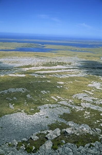 Landscape with the enigmatic stone runs, and coast in background, Falkland Islands