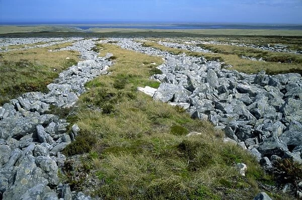 Landscape with the enigmatic stone runs, on East Falkland, in the Falkland Islands