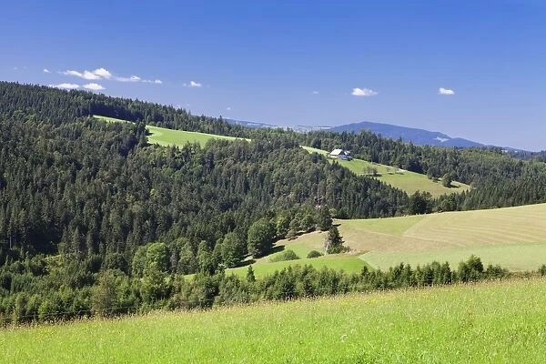 Landscape with farmhouse, near Schonwald, Black Forest, Baden Wurttemberg, Germany