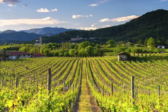 Framed Print : Landscape of Franciacorta country area in Brescia province, Lombardy, Italy, Europe Framed Print : Landscape of Franciacorta country area in Brescia province, Lombardy, Italy, Europe