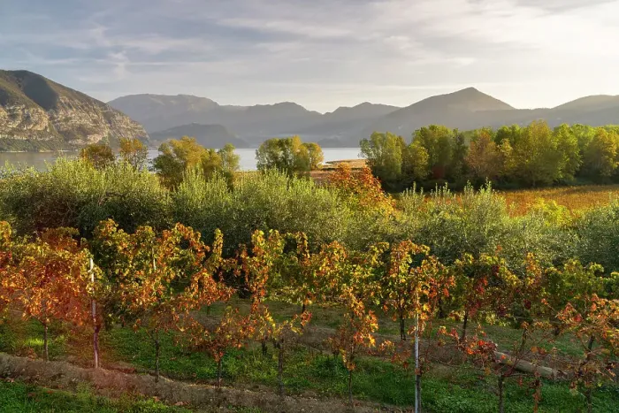 Framed Print : Landscape of Franciacorta region in Brescia province, Lombardy, Italy, Europe Framed Print : Landscape of Franciacorta region in Brescia province, Lombardy, Italy, Europe