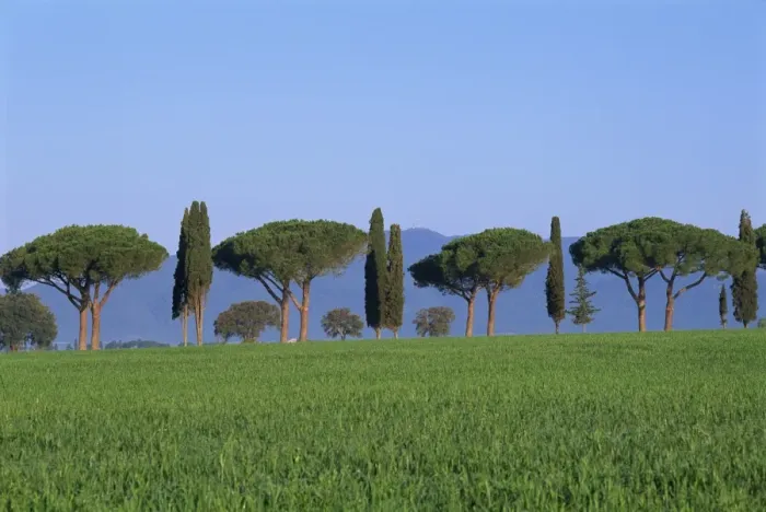 Framed Print : Landscape of green field Framed Print : Landscape of green field
