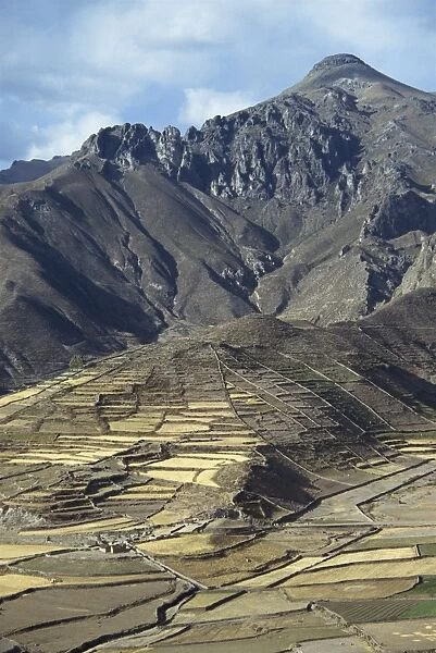 Landscape including Inca terraces in the Colca Canyon