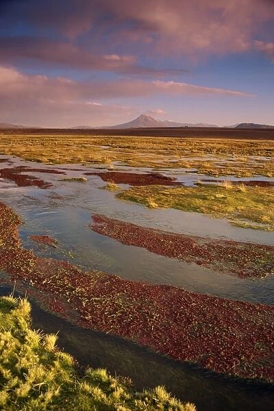 Landscape in the Isluga area of the Atacama Desert, Chile, South America