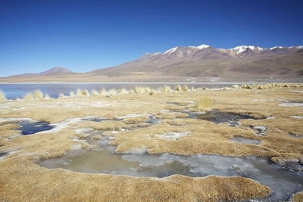 Landscape of Laguna Canapa on Altiplano, Potosi Department, Bolivia, South America