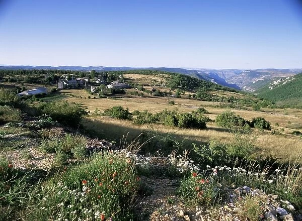 Landscape, Languedoc-Roussillon, France, Europe