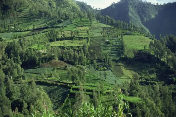Framed Print : Landscape in Mount Bromo region, Java, Indonesia, Southeast Asia, Asia Framed Print : Landscape in Mount Bromo region, Java, Indonesia, Southeast Asia, Asia