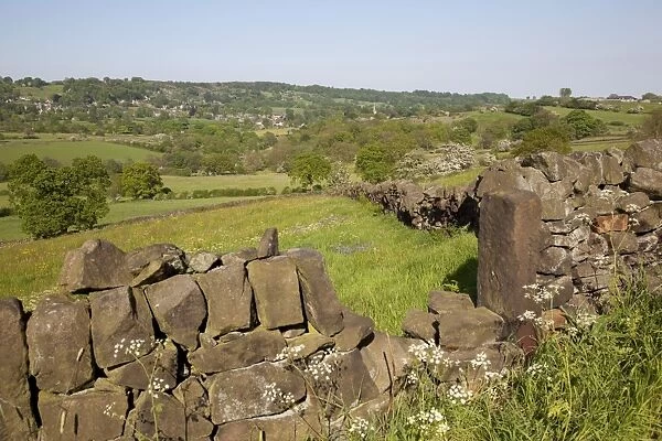 Landscape near Ashover and dry stone walls, Derbyshire, England, United Kingdom, Europe
