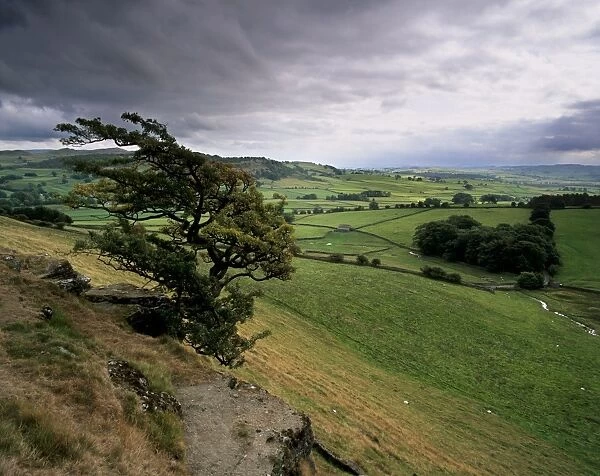 Landscape near Austwick, Yorkshire Dales National Park, Yorkshire, England