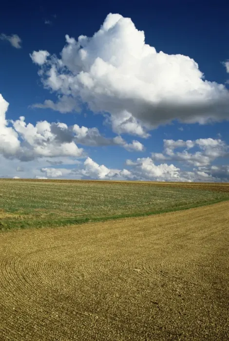 Framed Print : Landscape near Chablis, Burgundy (Bourgogne), France, Europe Framed Print : Landscape near Chablis, Burgundy (Bourgogne), France, Europe