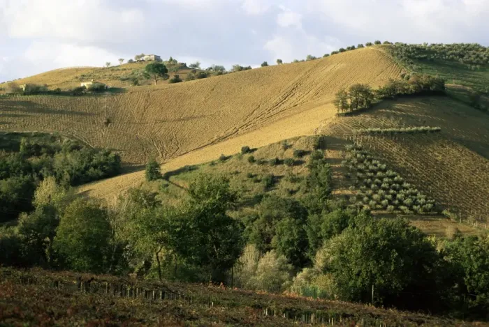 Framed Print : Landscape near Chieti Framed Print : Landscape near Chieti