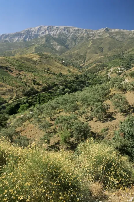 Framed Print : Landscape near Competa Framed Print : Landscape near Competa