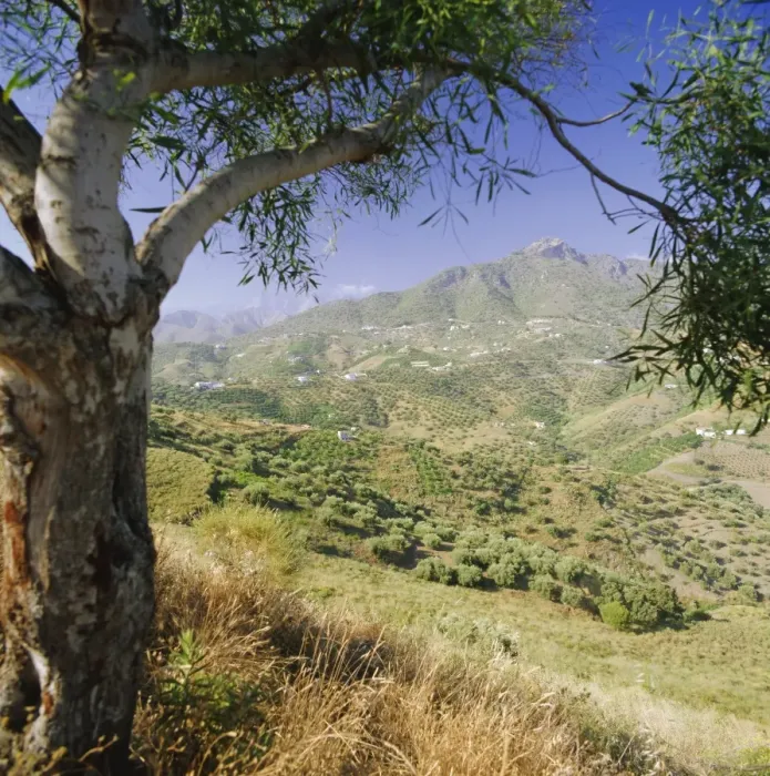 Framed Print : Landscape near Frigliana Framed Print : Landscape near Frigliana