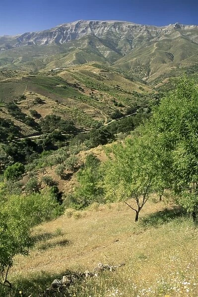 Landscape near Frigliana
