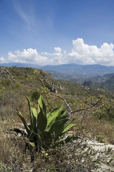 Landscape near Hierve el Agua