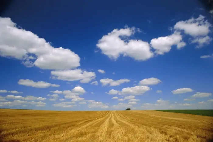 Framed Print : Landscape near Hondschoote, Flanders, Nord Pas de Calais France, Europe