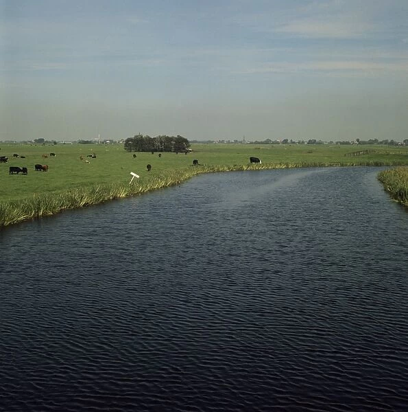 Landscape near Leiden