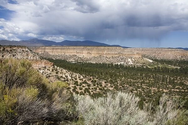 Landscape near Los Alamos, New Mexico, United States of America, North America