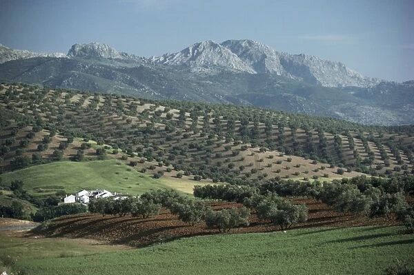 Landscape near Malaga
