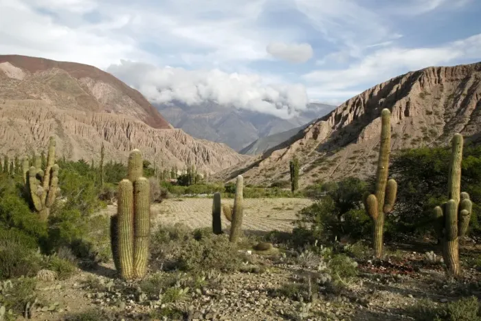 Framed Print : Landscape near Purmamarca, Jujuy Province, Argentina, South America Framed Print : Landscape near Purmamarca, Jujuy Province, Argentina, South America