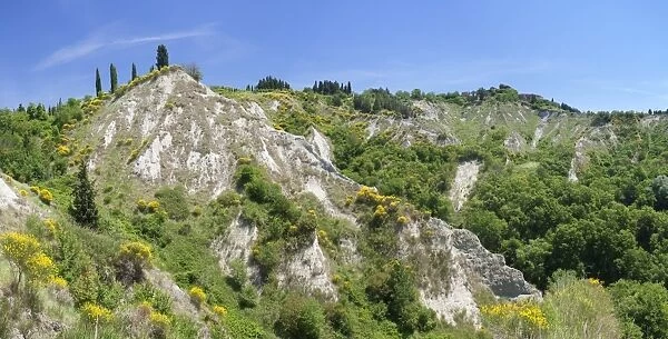 Landscape near San Giovanni d Asso, Siena Province, Tuscany, Italy, Europe