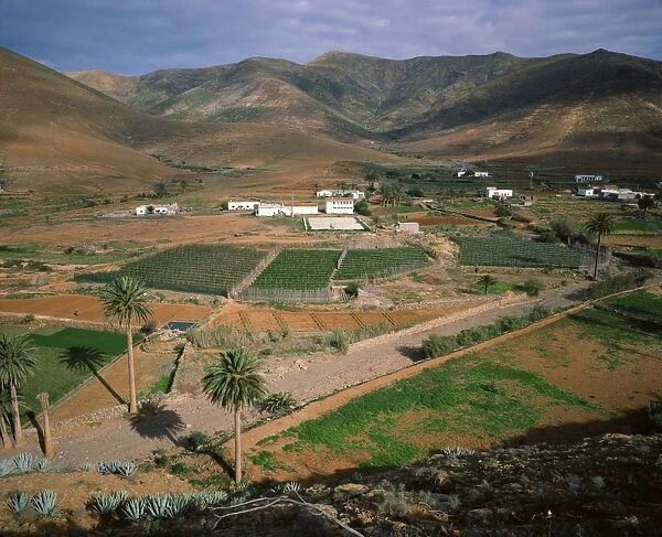 Landscape near Toto, Fuerteventura, Canary Islands, Spain, Atlantic, Europe
