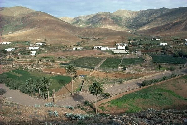 Landscape near Toto, Furteventura, Canary Islands, Spain, Atlantic Ocean, Europe