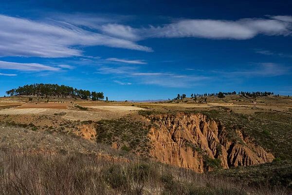Landscape of Pampas de Lequezana, where trees have been planted to prevent soil erosion