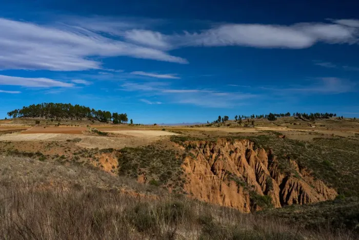 Framed Print : Landscape of Pampas de Lequezana, where trees have been planted to prevent soil erosion Framed Print : Landscape of Pampas de Lequezana, where trees have been planted to prevent soil erosion