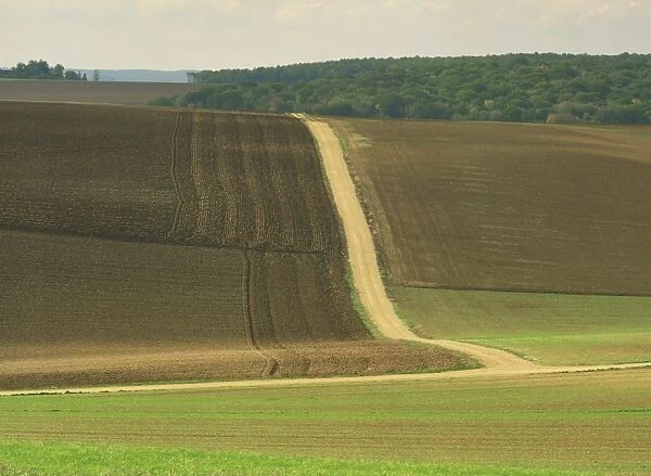 Landscape of ploughed fields and track through farmland near Chablis in Burgundy