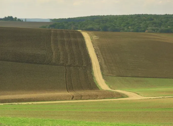 Framed Print : Landscape of ploughed fields and track through farmland near Chablis in Burgundy Framed Print : Landscape of ploughed fields and track through farmland near Chablis in Burgundy