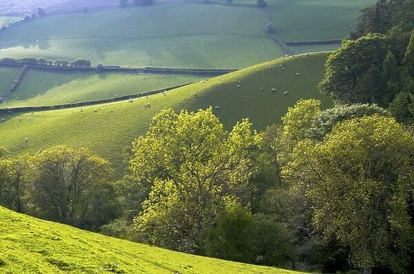 Landscape in Powys, Wales, United Kingdom, Europe