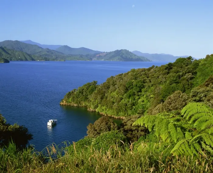 Framed Print : Landscape of Queen Charlotte Sound near Picton, Marlborough, South Island Framed Print : Landscape of Queen Charlotte Sound near Picton, Marlborough, South Island