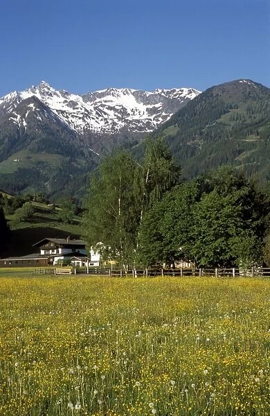 Landscape of snow capped peaks above flower covered valley, Unterpinzgau Valley