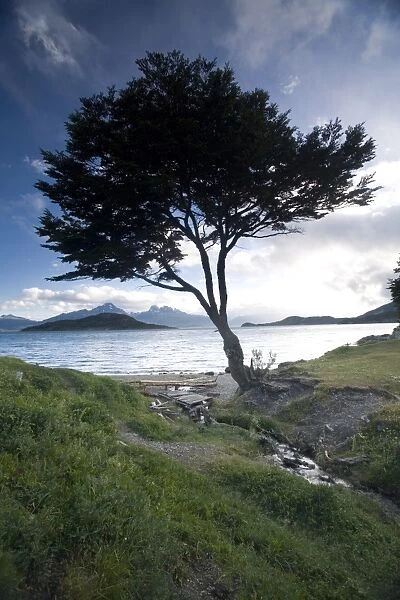 Landscape, Tierra del Fuego National Park, Argentina, South America