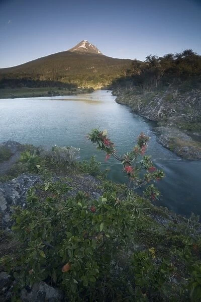 Landscape, Tierra Del Fuego National Park, Argentina, South America