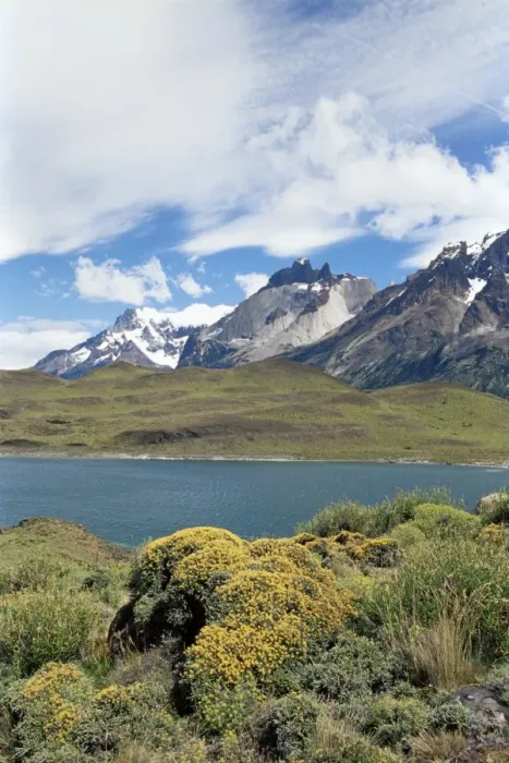 Framed Print : Landscape, Torres del Paine National Park, Patagonia, Chile, South America Framed Print : Landscape, Torres del Paine National Park, Patagonia, Chile, South America