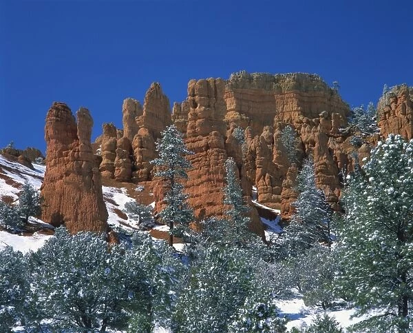 Landscape with trees and cliffs of red rock formations in the snow