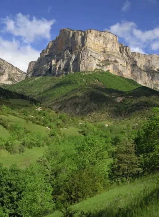 Framed Print : Landscape of trees and mountains in the Cirque d Archiane near Die in the Drome Framed Print : Landscape of trees and mountains in the Cirque d Archiane near Die in the Drome