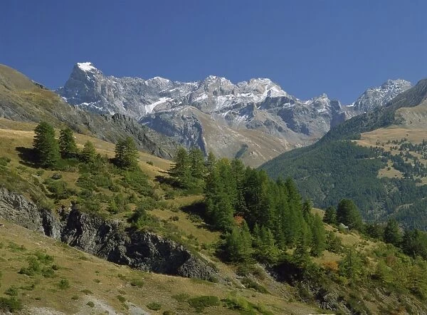 Landscape of trees and mountains in the Vanoise, Savoie (Savoy) in the Rhone-Alpes
