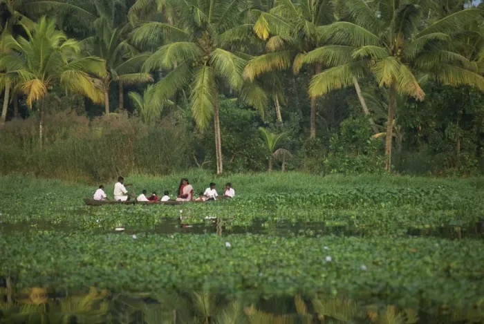 Framed Print : Landscape of a typical backwater Framed Print : Landscape of a typical backwater