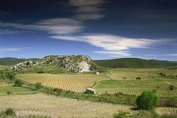 Landscape of vineyards and hills near Neffies, Herault, Languedoc Roussillon