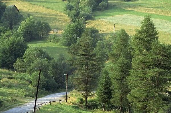 Lane near the Polish border