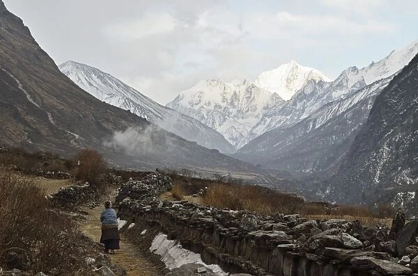 Langtang Valley and Pangen Dopku mountain, Langtang National Park, Bagmati, Central Region (Madhyamanchal), Nepal, Himalayas, Asia