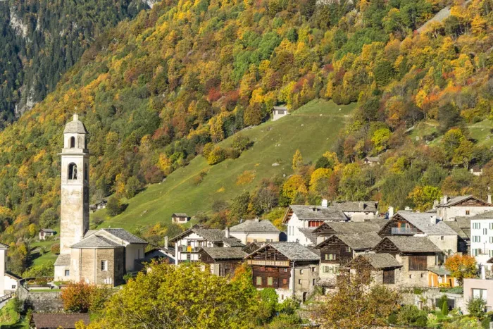 Framed Print : Larch trees and woods framing the village of Soglio in autumn, Val Bregaglia Framed Print : Larch trees and woods framing the village of Soglio in autumn, Val Bregaglia