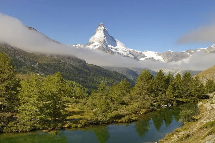 Framed Print : Larches (Larix) at Lake Grindjisee, in front of the Matterhorn, Valais Alps, Canton of Valais, Switzerland Framed Print : Larches (Larix) at Lake Grindjisee, in front of the Matterhorn, Valais Alps, Canton of Valais, Switzerland