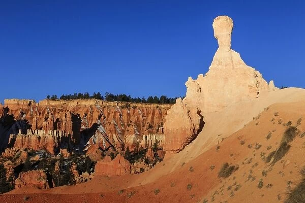 Large hoodoo in early morning light seen from a horse trail in winter, Bryce Canyon National Park, Utah, United States of America, North America